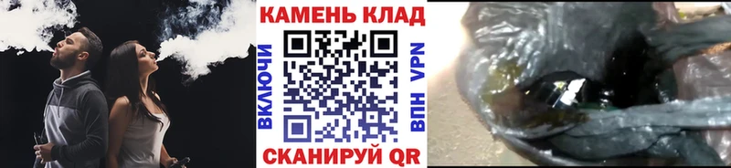 ГАШ Ice-O-Lator  Оса 