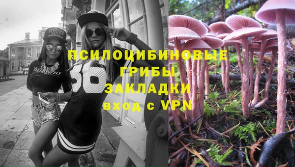 прущая мука Надым