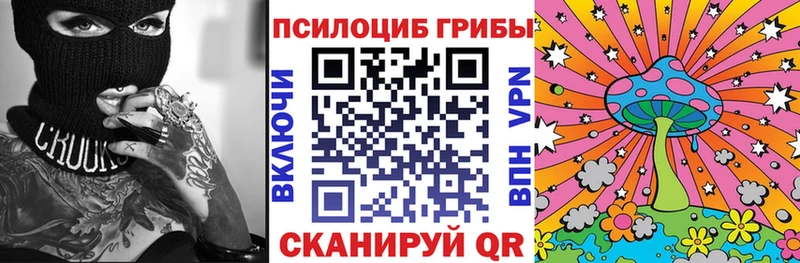 блэк спрут рабочий сайт  Оса  Псилоцибиновые грибы Cubensis 