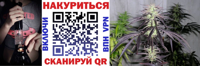 мориарти какой сайт  наркотики  Оса  Шишки марихуана семена 